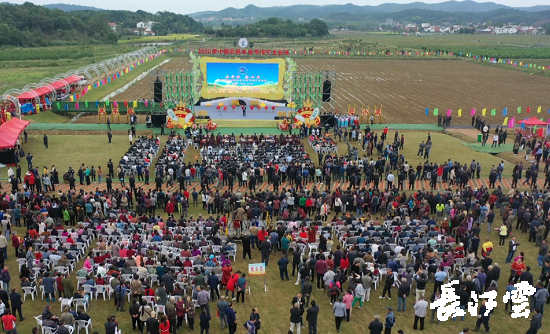 9月21日,咸寧市咸安區(qū)高橋蘿卜小鎮(zhèn)百畝草地上舉行了“慶豐收·迎小康”第三屆中國農(nóng)民豐收節(jié)湖北分會場咸寧主會場慶?;顒?,全市各界農(nóng)民代表相聚白水畈的美麗田野,分享豐收的喜悅,慶祝屬于自己的節(jié)日。 開幕式上舉行了精彩的文藝演出,演出在舞蹈《慶豐收》中拉開序幕,歌舞《錦繡小康》呈現(xiàn)出咸寧各地欣欣向榮、脫貧致富奔小康的幸福場景。網(wǎng)紅歌曲《你莫走》、舞蹈《慶豐收》、歌舞《一起幸?!?,一個(gè)個(gè)精彩的節(jié)目輪番上演,博得現(xiàn)場觀眾陣陣掌聲。 開幕活動現(xiàn)場還舉行了頒獎(jiǎng)儀式,第二屆“美麗中國、鄉(xiāng)村振興”全國農(nóng)民詩歌邀請賽獲獎(jiǎng)組織和個(gè)人,全市農(nóng)村人居環(huán)境整治示范村,省級農(nóng)業(yè)產(chǎn)業(yè)化工作先進(jìn)集體和先進(jìn)個(gè)人上臺領(lǐng)獎(jiǎng)?,F(xiàn)場還舉行了鄂南民俗展演、農(nóng)民趣味運(yùn)動會、扶貧農(nóng)產(chǎn)品以及咸寧特色農(nóng)產(chǎn)品展銷等豐富多彩的活動。火爆的人氣,讓在場的展銷商賺得是盆滿缽滿。 咸寧市咸安區(qū)鑫達(dá)種養(yǎng)專業(yè)合作社理事長萬永輝:今年家里的香菇都豐收了,一上午我就賣出了一萬多元,我們合作社采取的是“合作社+農(nóng)戶”的模式,也帶領(lǐng)了20多戶貧困戶脫貧了。 咸寧市致遠(yuǎn)種植專業(yè)合作社理事長 吳海兵:我們今年是真真正正地豐收了,我們生姜的價(jià)格足足翻了三倍,跟著我們一起的貧困戶也平均增收了3000元左右。 而這一系列的活動,都是在蘿卜小鎮(zhèn)的草地上進(jìn)行的,草地作舞臺、草地搞展示、草地上比賽等等,這數(shù)百畝草地,此時(shí)此刻成為了咸寧農(nóng)民們慶祝豐收的歡樂場。 咸寧市咸安區(qū)高橋鎮(zhèn)黨委書記王順榮:今年的湖北分會場在我們高橋蘿卜小鎮(zhèn)舉辦,我感到很榮幸,我們從一顆蘿卜做起,以白水畈蘿卜為核心品牌,打造白水畈"我家菜園"蔬菜基地及旅游觀光體驗(yàn)中心,發(fā)展綠色農(nóng)業(yè)、生態(tài)旅游,增加產(chǎn)業(yè)開發(fā)的綜合效益,創(chuàng)建蘿卜特色小鎮(zhèn),走出了一條農(nóng)業(yè)、旅游相結(jié)合的新路,推動高橋鎮(zhèn)一二三產(chǎn)業(yè)融合發(fā)展。 鄉(xiāng)親們說,這在以前是想都不敢想的,高橋鎮(zhèn)蝸居山里,太偏遠(yuǎn)又沒有資源優(yōu)勢,想發(fā)展太難。而現(xiàn)在這一切的悄然改變,得益于2017年10月13日,咸安區(qū)政府與鄂旅投公司正式簽署的《131軍旅小鎮(zhèn)+白水畈田園綜合體旅游開發(fā)投資合作協(xié)議》,鄂旅投公司將投資30億元,在高橋鎮(zhèn)打造131軍旅小鎮(zhèn)和白水畈田園綜合體旅游開發(fā)項(xiàng)目。項(xiàng)目共分為131軍旅小鎮(zhèn)、白水畈美麗鄉(xiāng)村、特色農(nóng)業(yè)示范、旅游綜合體四大板塊,打造旅游綜合服務(wù)區(qū)、澄水洞軍事展示區(qū)、青少年國防教育基地、鐵血軍事樂園區(qū)、戰(zhàn)狼訓(xùn)練基地、美麗村灣民俗區(qū)、四季瓜果示范區(qū)、農(nóng)耕文化展示區(qū)、特色商業(yè)街區(qū)和康養(yǎng)度假區(qū)十大功能區(qū)。 咸寧市咸安區(qū)高橋鎮(zhèn)黨委書記王順榮:我們引進(jìn)鄂旅投,打造蘿卜小鎮(zhèn),目前建設(shè)有蘿卜小鎮(zhèn)科普館、蘿卜鄉(xiāng)學(xué)院、蘿卜酒店等休閑旅游項(xiàng)目,十一馬上到了,也歡迎廣大游客前來游玩。 今年是決勝全面建成小康社會、決戰(zhàn)脫貧攻堅(jiān)之年。咸寧市本著"儉樸、祥和、歡樂,農(nóng)民參與,農(nóng)民唱主角"的辦節(jié)思路,而此屆中國農(nóng)民豐收節(jié)辦節(jié)費(fèi)用也是倍減。 農(nóng)為邦本,本固邦寧。今年,面對重大疫情和特大洪澇災(zāi)害,咸寧市扎實(shí)做好“六穩(wěn)”工作、落實(shí)“六?!比蝿?wù),克服重重困難,推動農(nóng)業(yè)實(shí)現(xiàn)持續(xù)平穩(wěn)發(fā)展,形成了茶葉、油茶、中藥材等12個(gè)特色農(nóng)業(yè)主導(dǎo)產(chǎn)業(yè),“全國一村一品示范村鎮(zhèn)”發(fā)展到14家,國家級、省級農(nóng)業(yè)產(chǎn)業(yè)化龍頭企業(yè)達(dá)到55家。尤其是糧食產(chǎn)量預(yù)計(jì)達(dá)118萬噸、蔬菜產(chǎn)量預(yù)計(jì)達(dá)260萬噸,生豬預(yù)計(jì)出欄183.52萬頭,農(nóng)業(yè)生產(chǎn)再獲豐收,糧食安全有效保障,讓農(nóng)民的腰包更鼓、家園更美、生活更甜,為加快實(shí)施鄉(xiāng)村振興戰(zhàn)略、推動咸寧高質(zhì)量發(fā)展提供堅(jiān)實(shí)保障。
